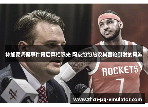 林加德调侃事件背后真相曝光 网友纷纷热议其言论引发的风波